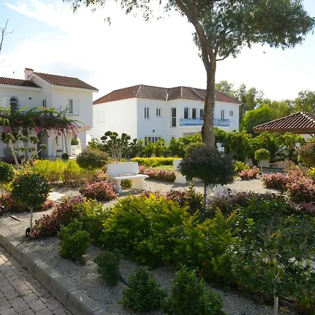 Meneou By The Sea Larnaka